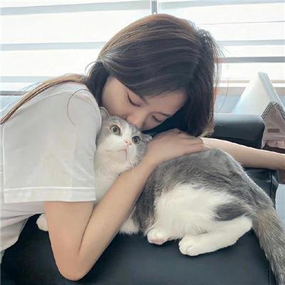 狸猫书生2