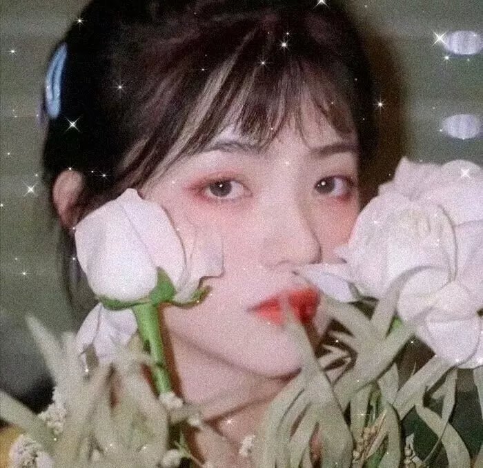 狗狗体型之谜