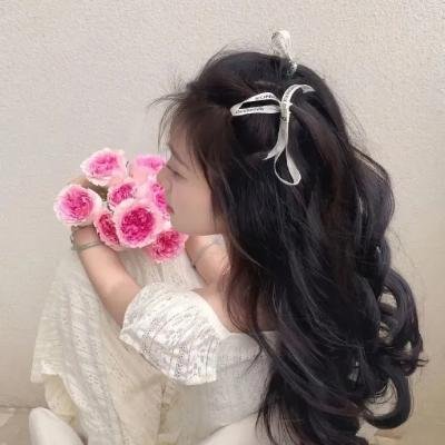 艾伯托的新生活